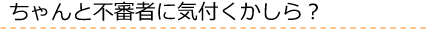 ちゃんと不審者に気付くかしら？